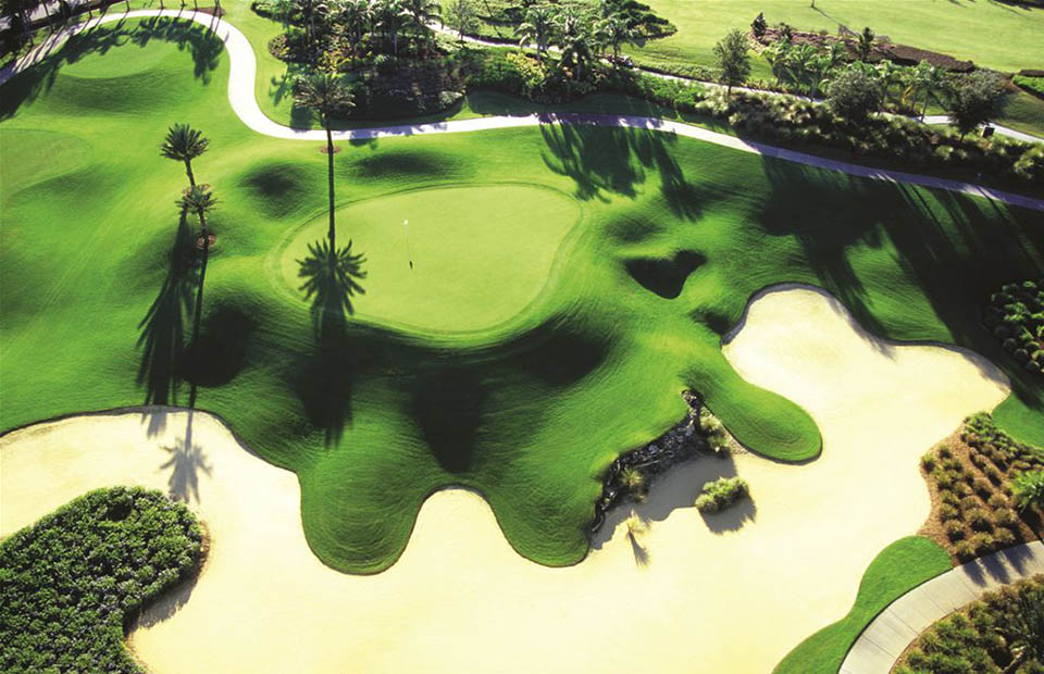 Vista aérea del campo de golf accesible para los huéspedes de Spectrum Resort Orlando, Eagle Trace Resort Orlando y Bear's Den Resort Orlando.