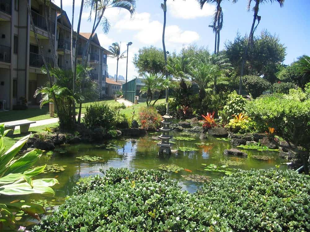 Tropical garden pond at Pono Kai Resort.