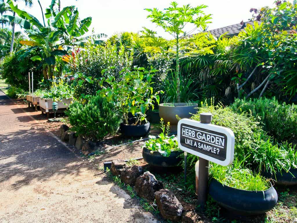 Jardín de hierbas Pono Kai con un cartel que ofrece muestras.