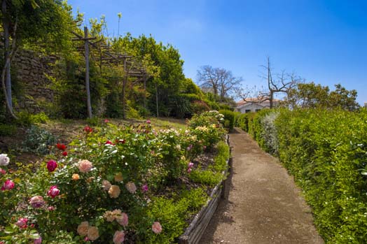 Camino por los floridos jardines orgánicos de Villa Lilly.