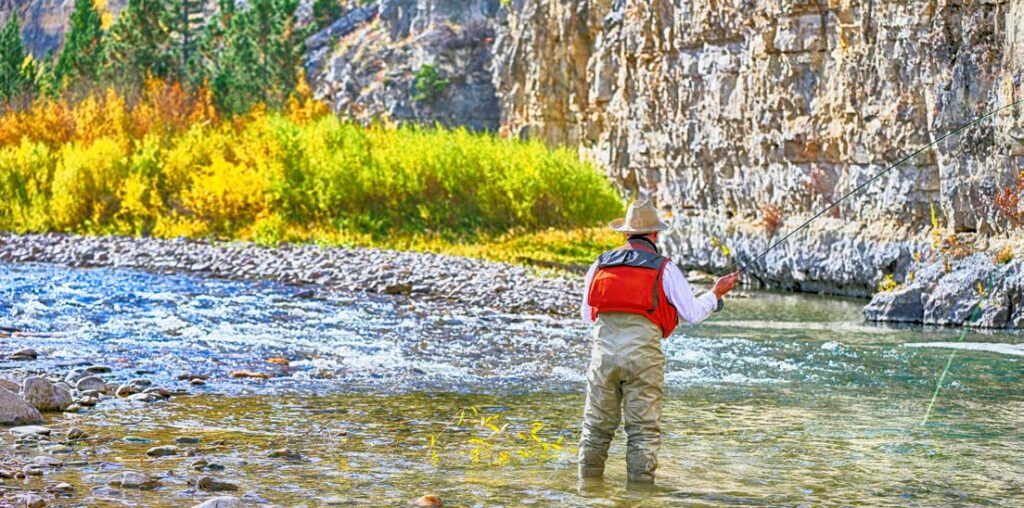 Man fishing in Belt Creek, Montana, while wading in the water.