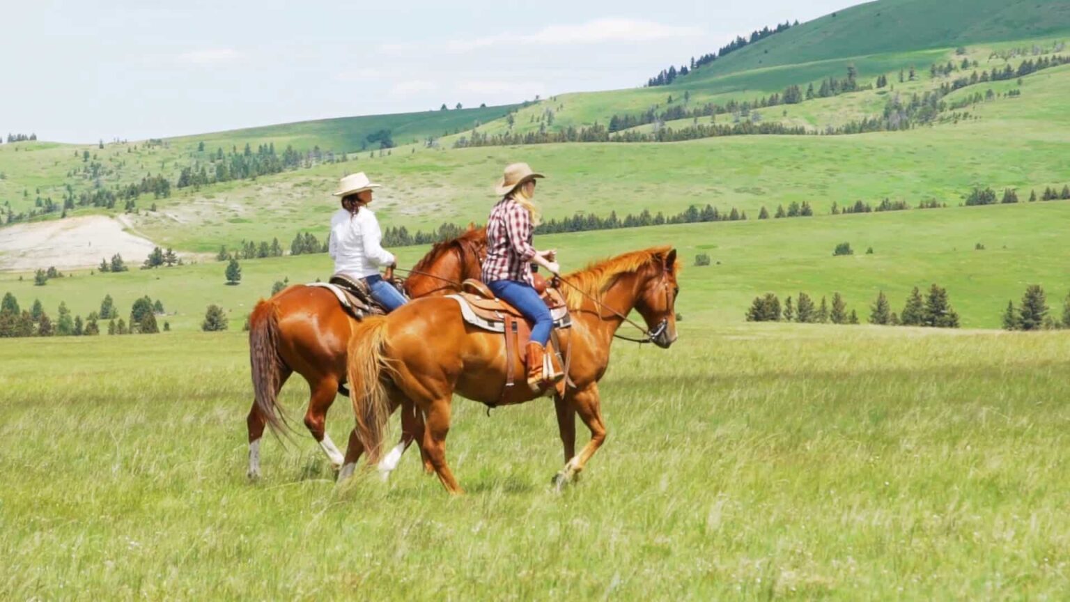 Two people riding on horseback in a vast meadow at The Ranches at Belt Creek.