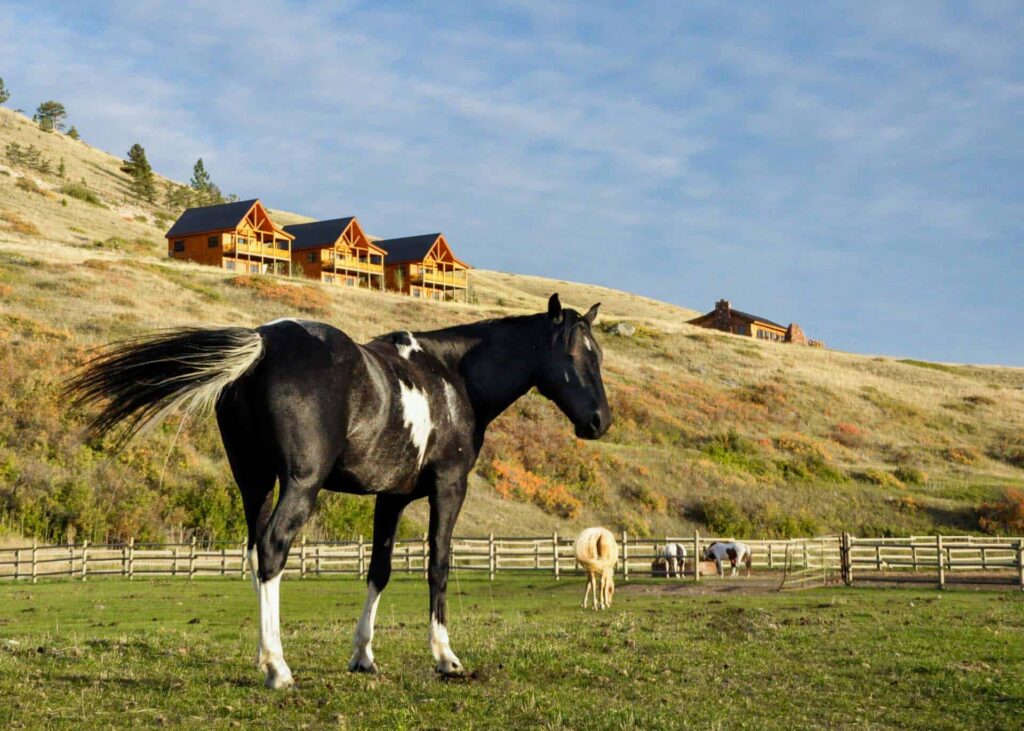 Horse stable overlooking The Ranches at Belt Creek member cabins.