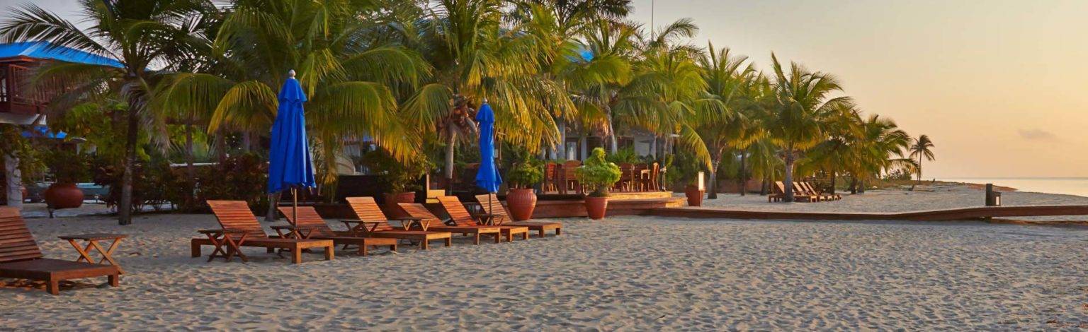 Palm trees, wood lounge chairs, and umbrellas along the beach at Chabil Mar Villas.