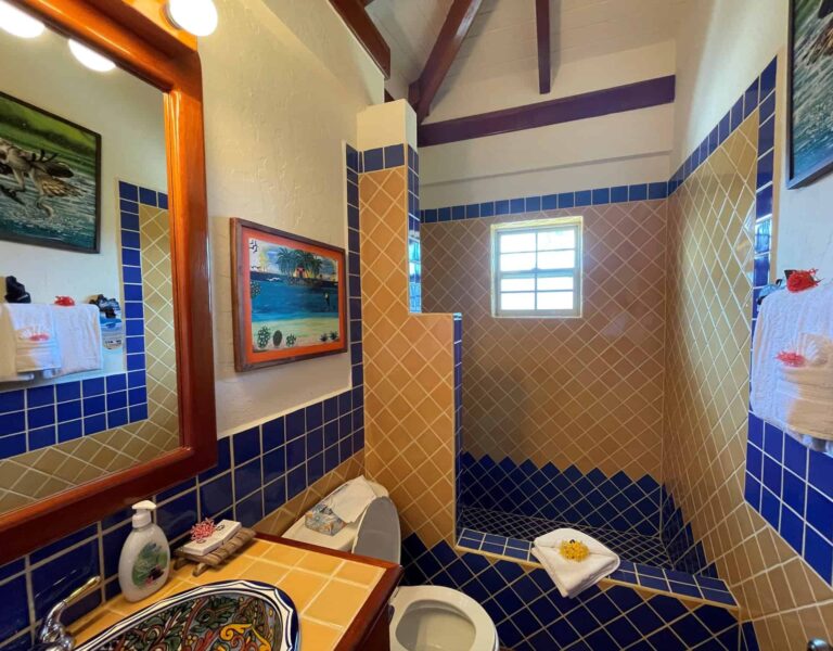 Seafront Vista Villa master bathroom with spacious walk-in shower