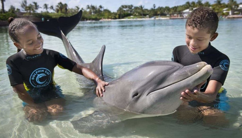 Dos niños acariciando a un delfín en Dolphin Cay en una excursión Dip-n-Discover.