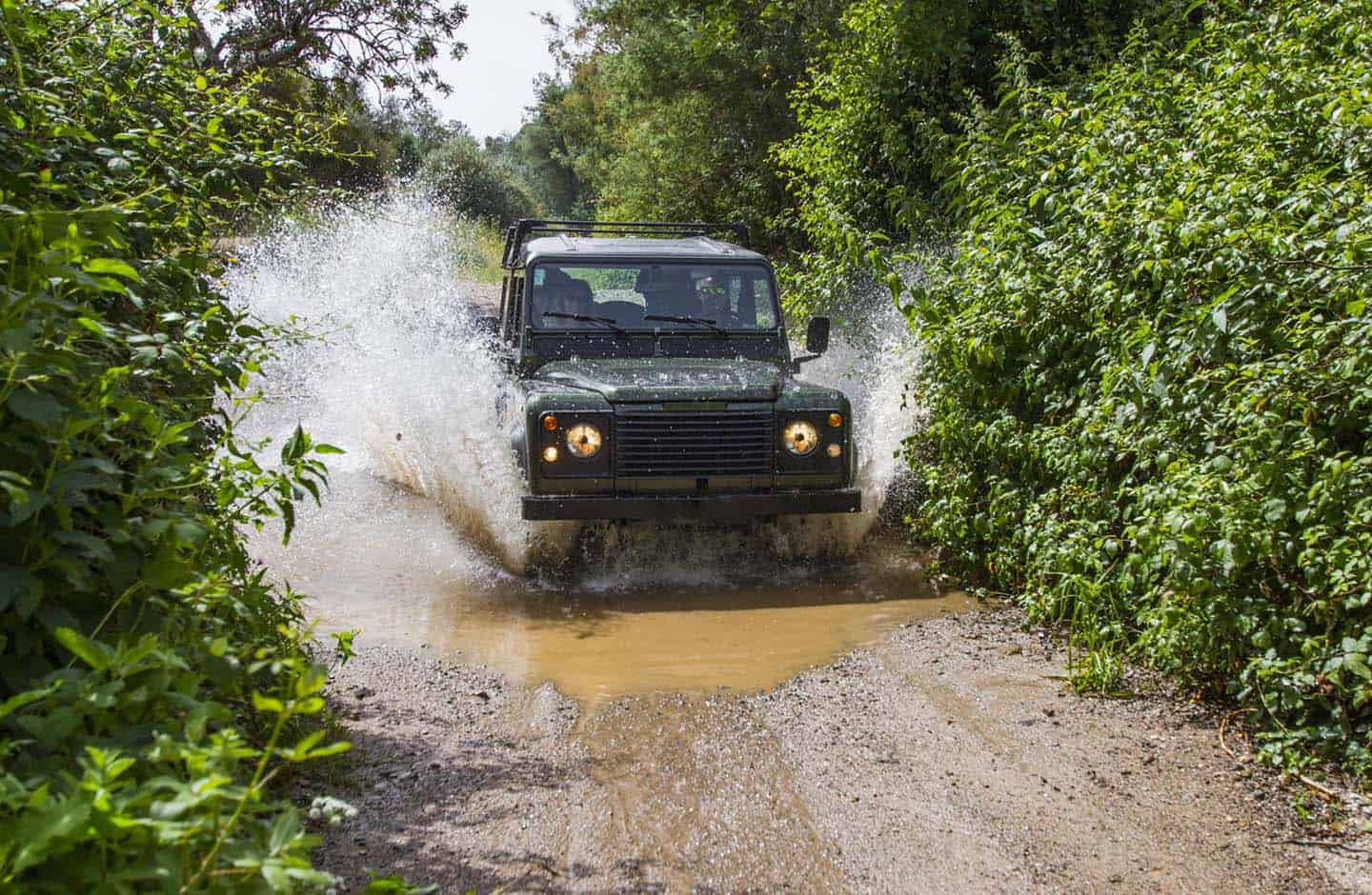 Jeep driving through a puddle on a safari tour
