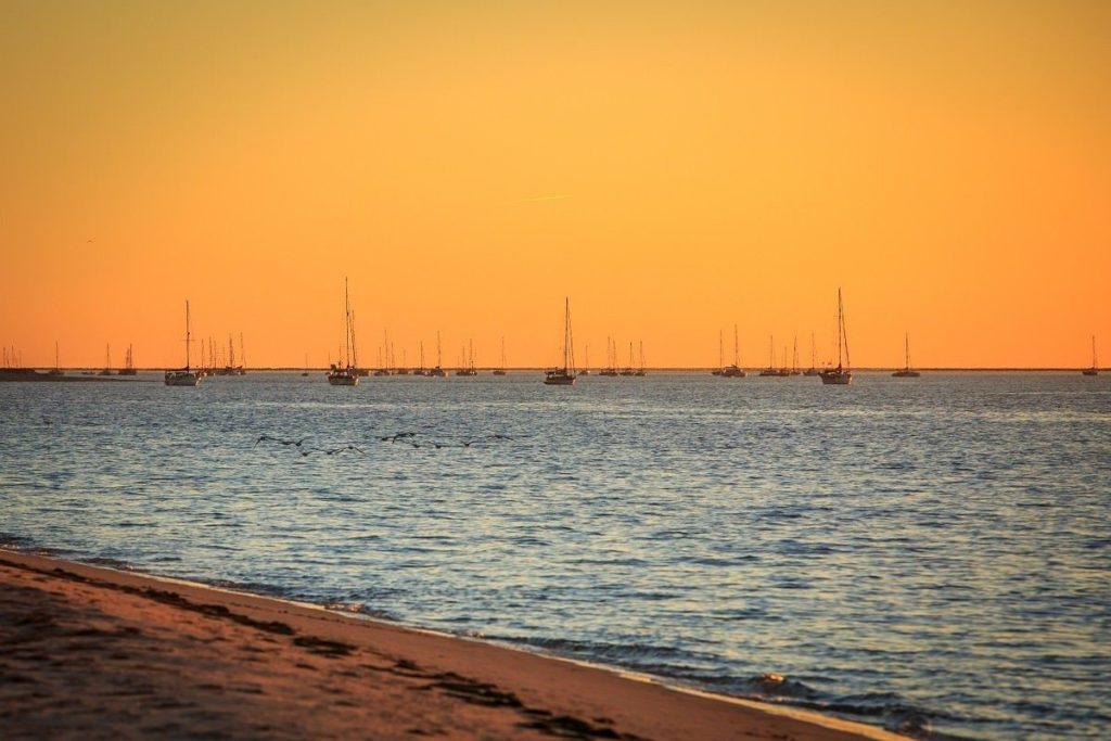 Sunset view of sailboats on the ocean