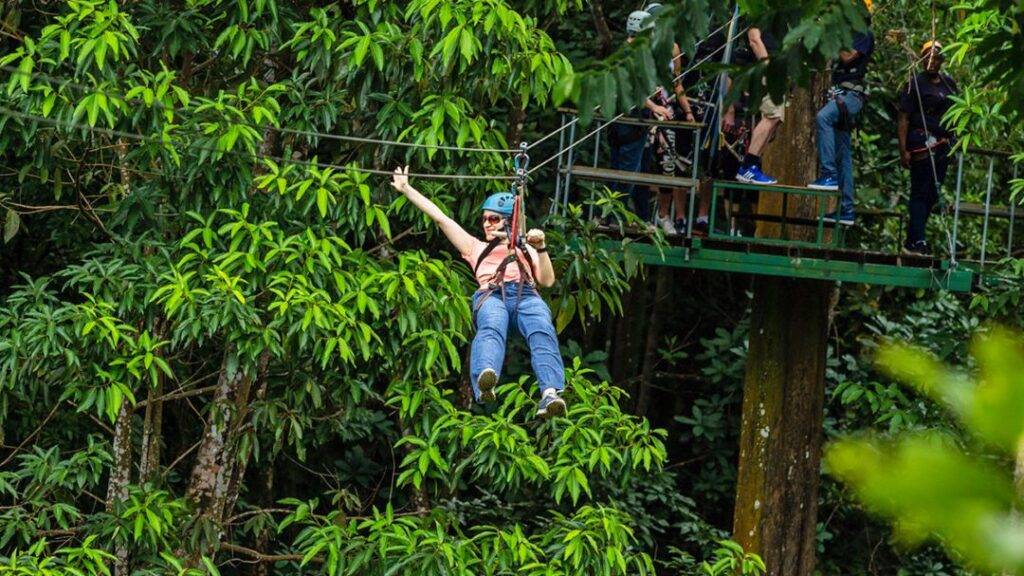 Persona montando en tirolesa a través de un bosque tropical de Santa Lucía.
