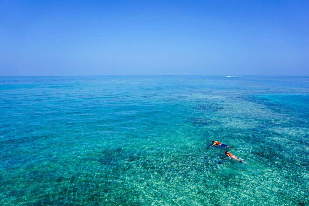 Couple snorkeling in the Caribbean Sea off the Cayman Islands