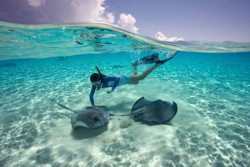 Woman snorkeling and petting sting rays at Stingray City Cayman Islands.