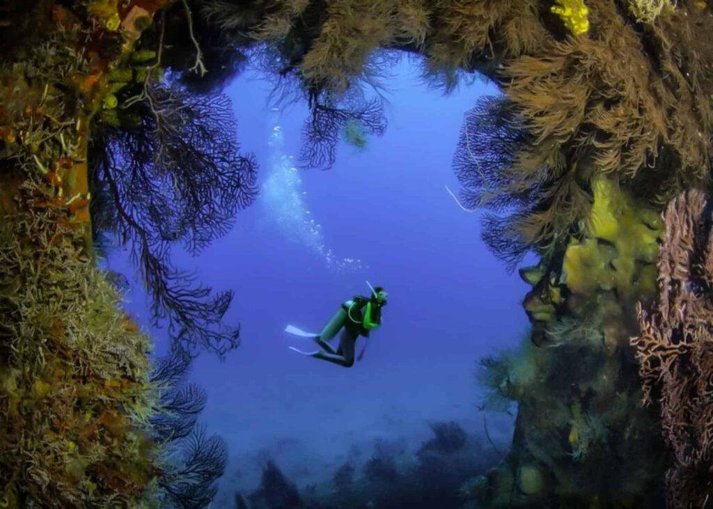 Scuba diver swimming through a reef at Windjammer Landing