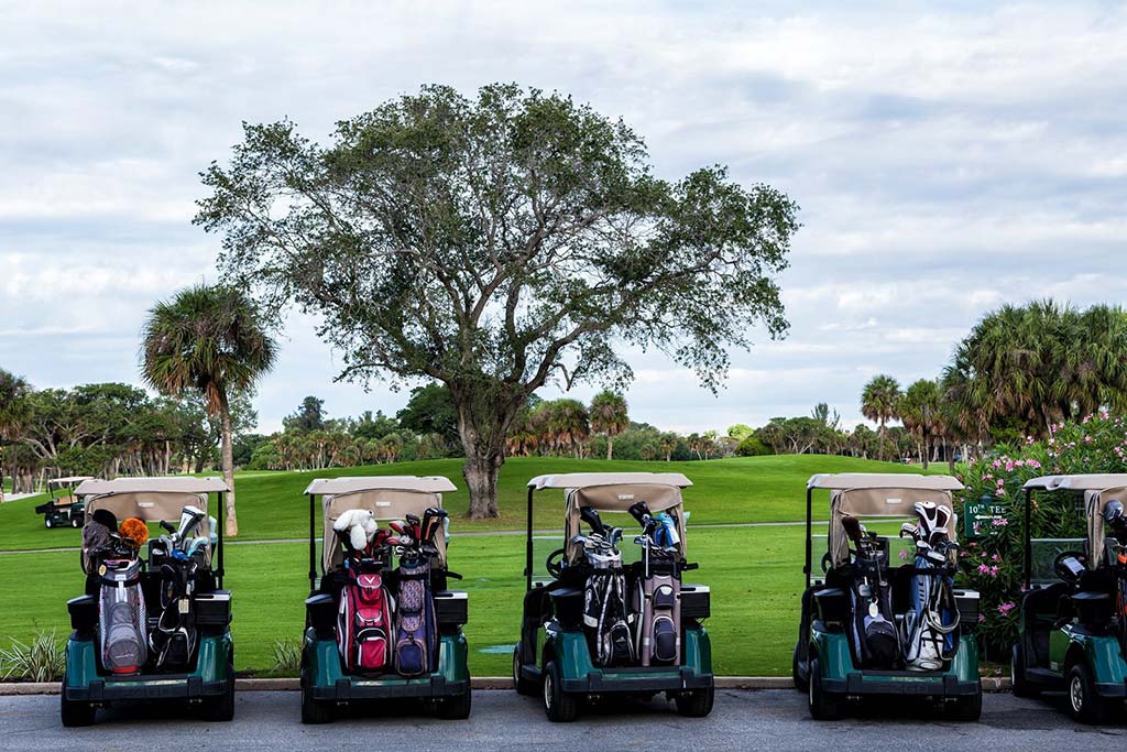 Golf carts lined up on course with palm trees and green in background