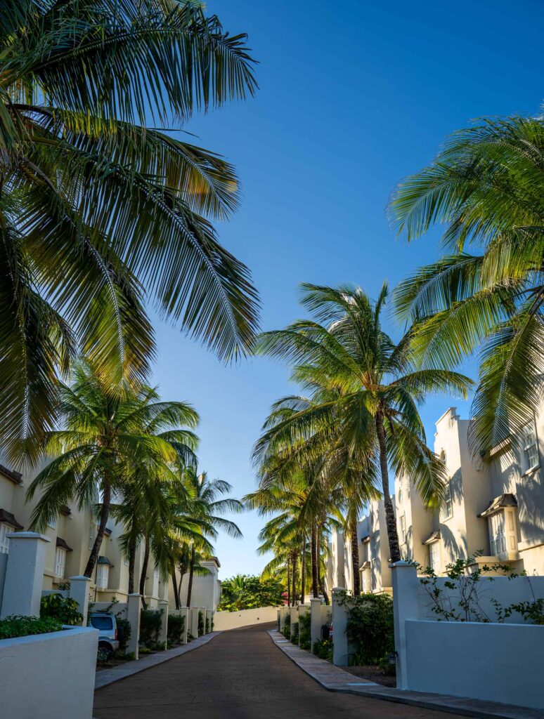 Cap Cove Resort villas a lo largo de una pasarela bordeada de palmeras