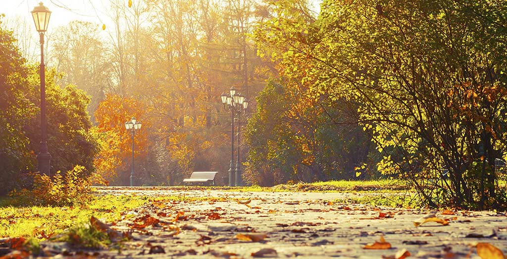 Banco del parque en un sendero para caminar en otoño
