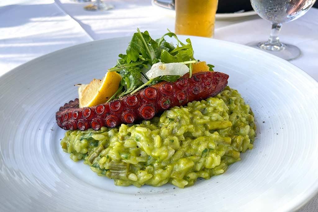 Risotto topped with grilled octopus and an arugula salad
