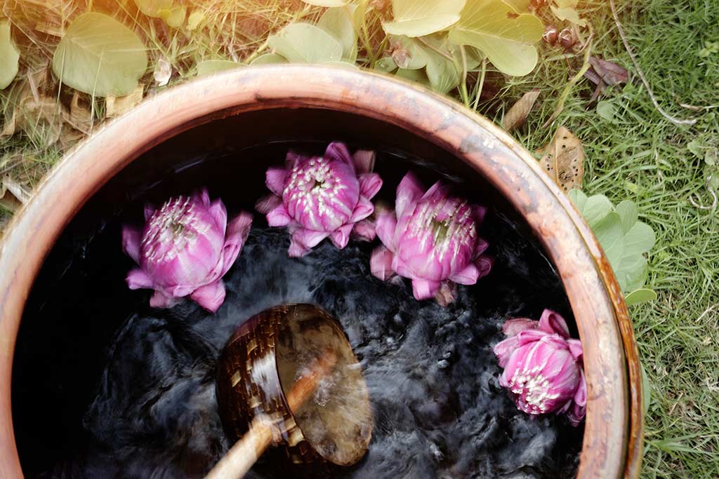 Flores de loto en un balde de agua en Koh Russey Villas & Resort Spa