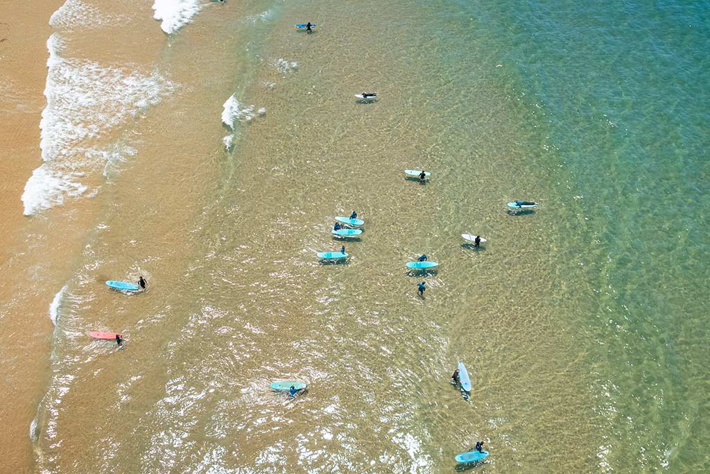 Aerial view of surfers with their boards in the ocean