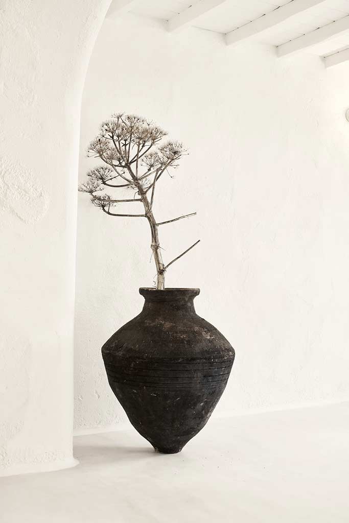 Planta en un gran jarrón de cerámica en Nomad Mykonos