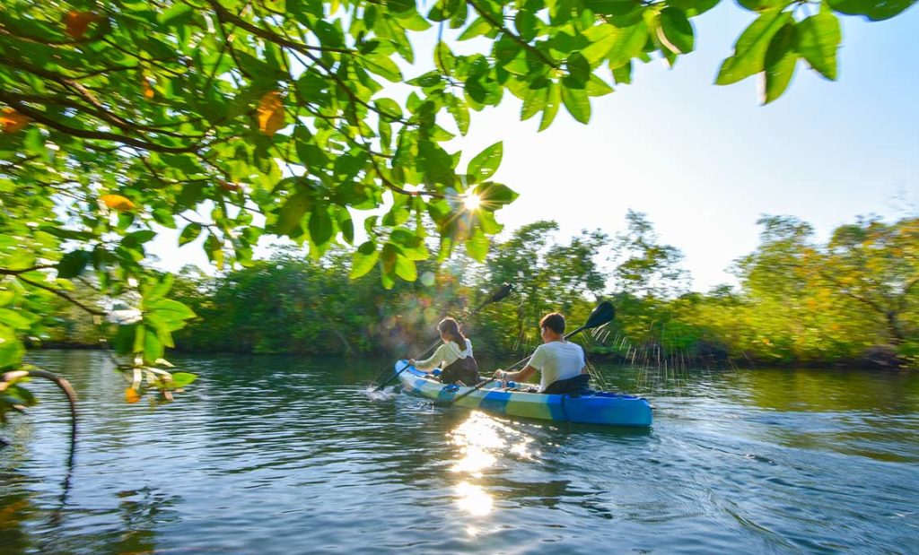 Couple in a double kayak surrounded by lush greenery