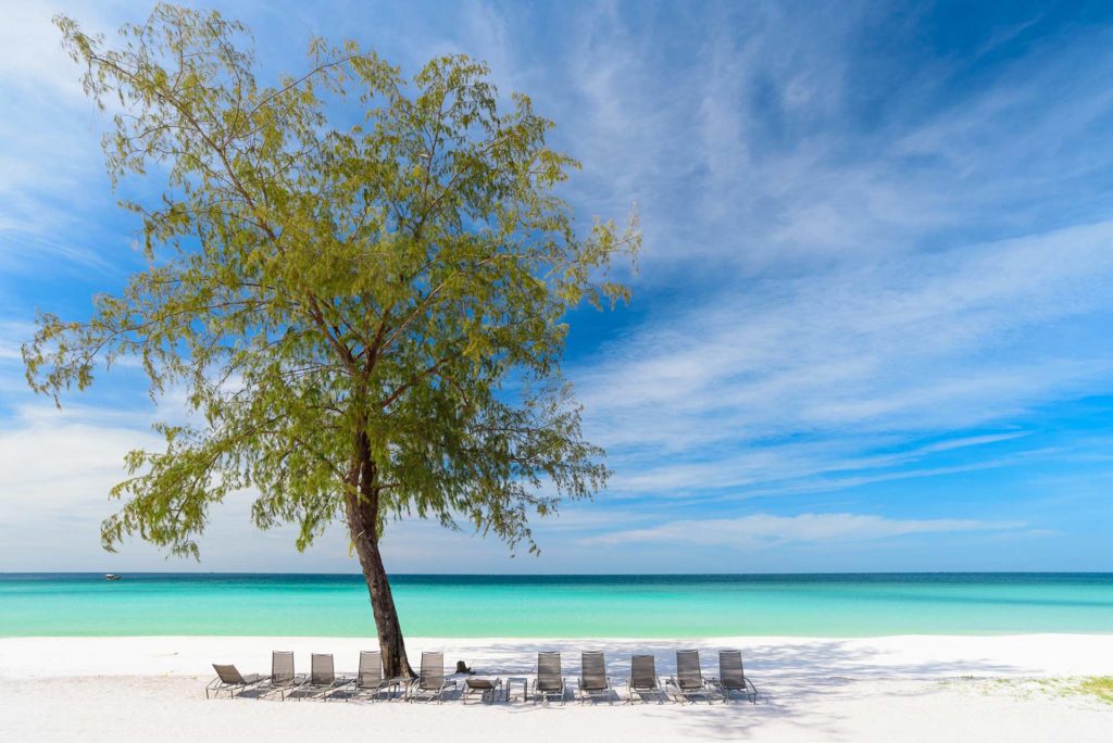 Lounge chairs lined under a tree by the beach at the Royal Sands Koh Rong