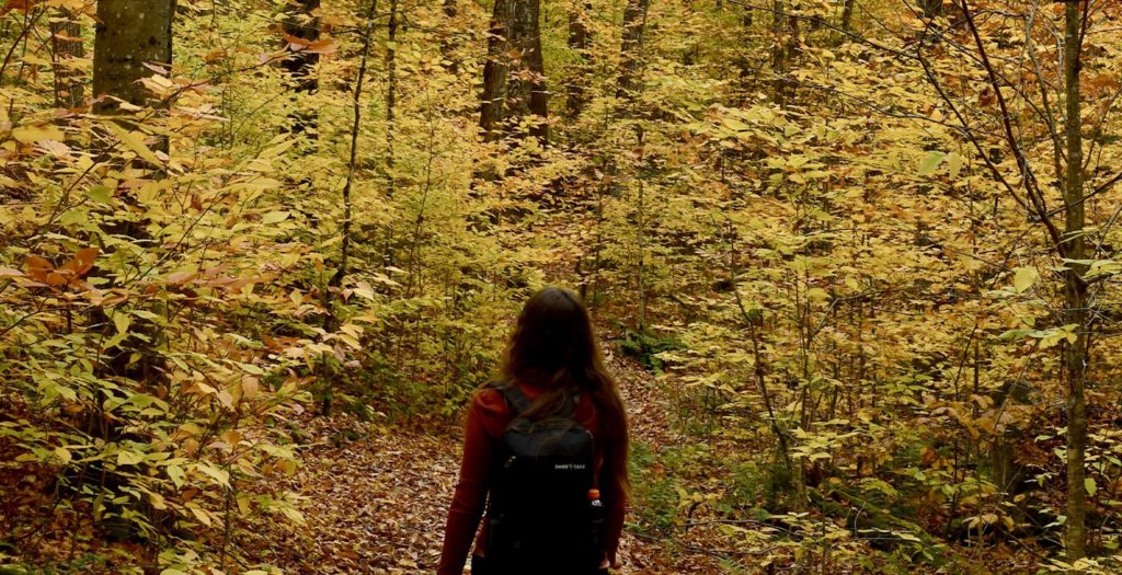 Mujer caminando por un sendero en otoño en la Reserva Natural Chaddesley Woods | Worcestershire, Reino Unido