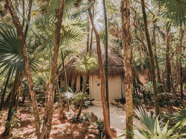 Cabaña set in the tropical jungle at the Papaya Playa Project