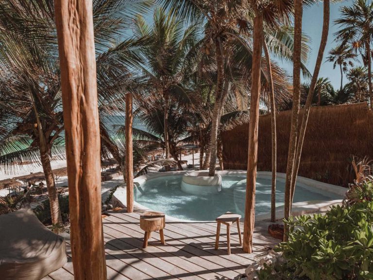 Casa Palma - terraza al aire libre y piscina en el Proyecto Papaya Playa