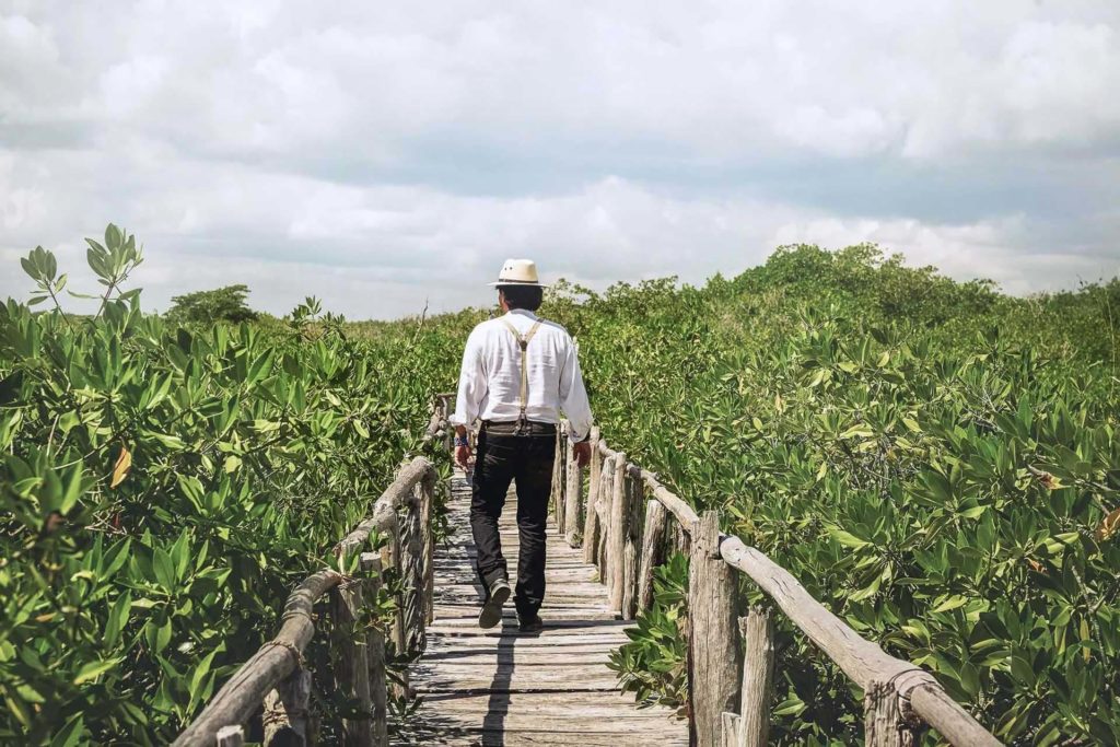 Hombre caminando por un sendero de paseo marítimo a través de una exuberante vegetación
