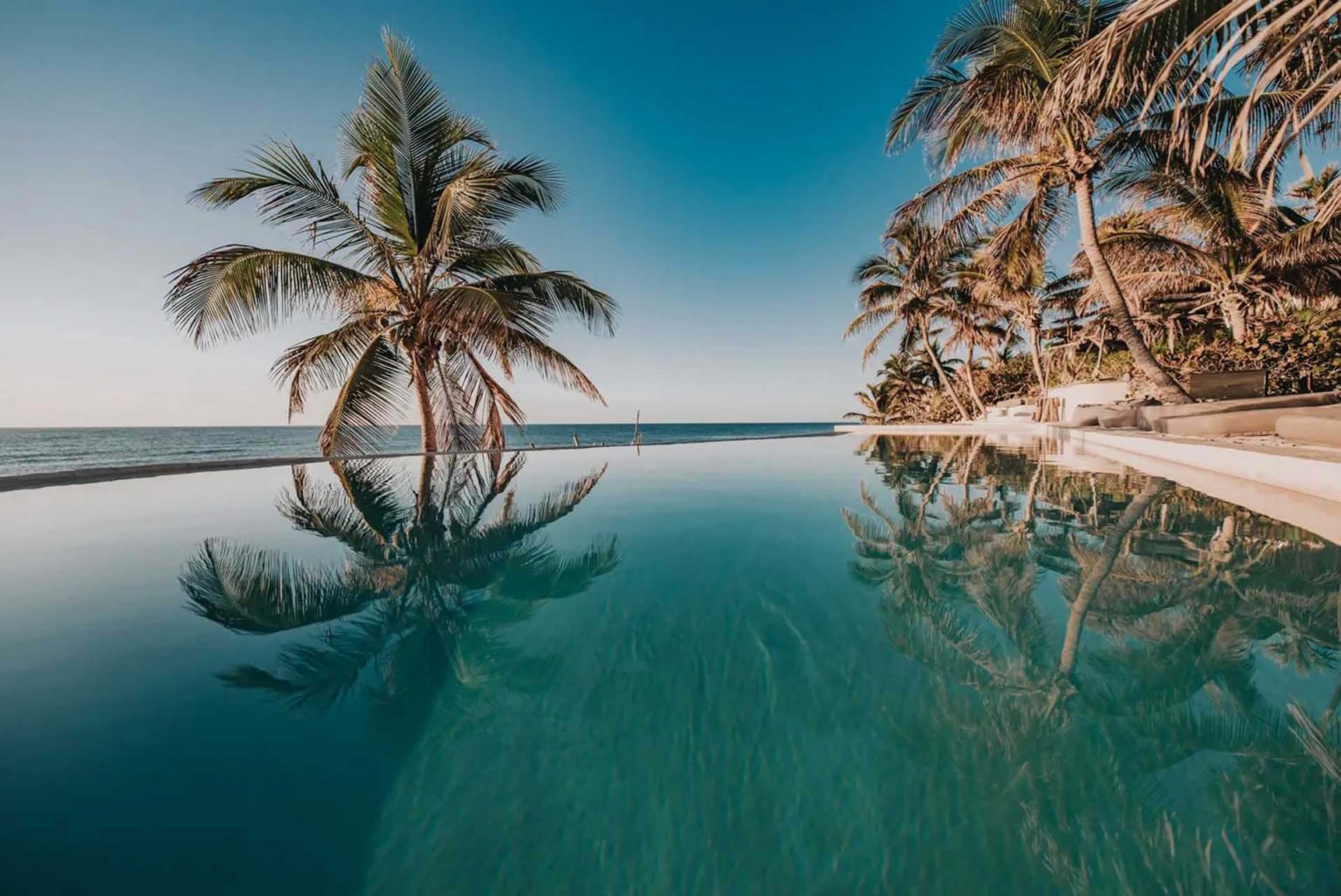 Infinity pool overlooking the ocean at the Papaya Playa Project