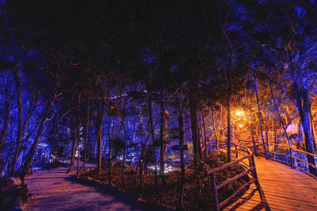 Walking path in jungle at night lit up with multicolored lights for Star Collector | Papaya Playa Project