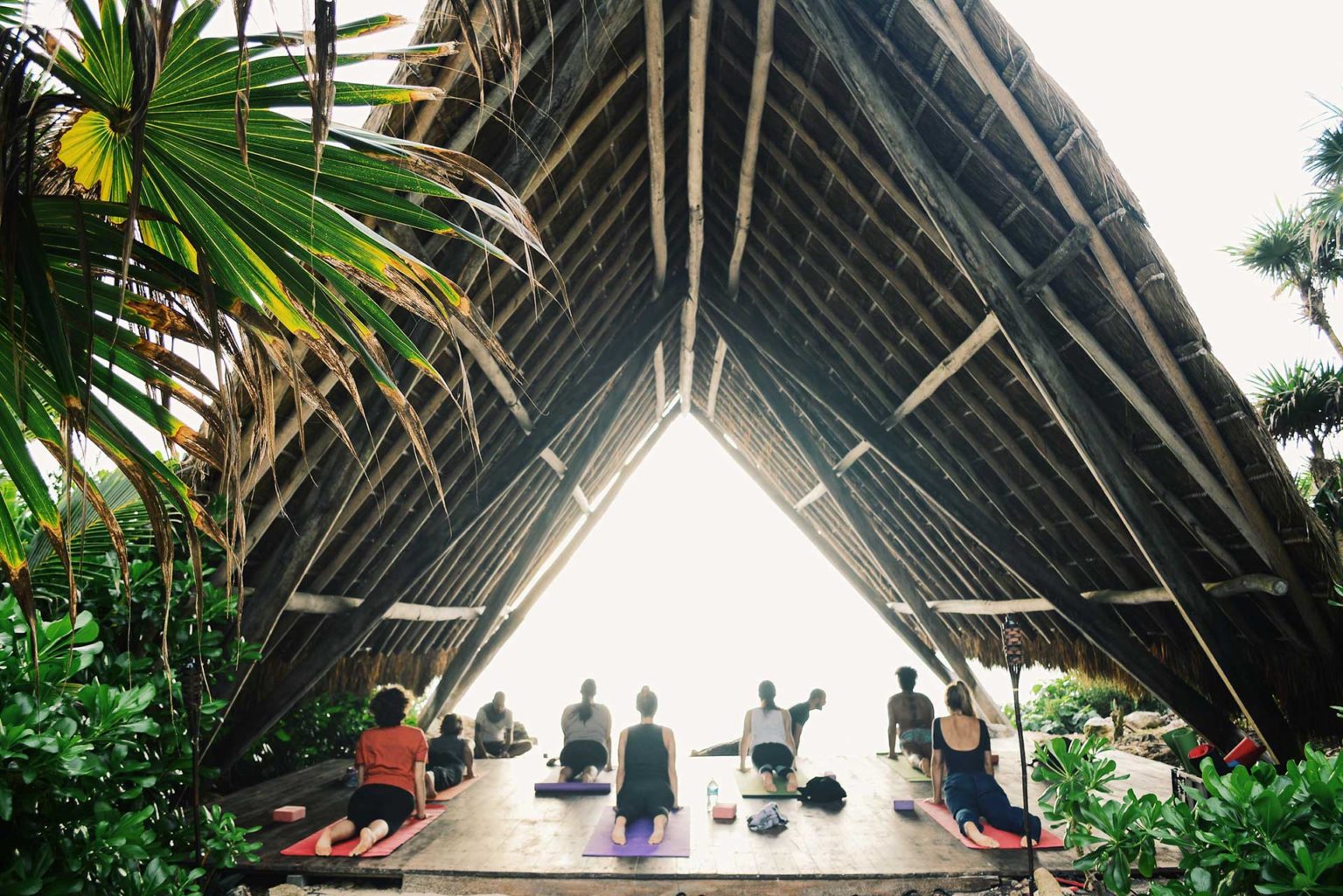 Yoga class in an open air event space at the Papaya Playa Project