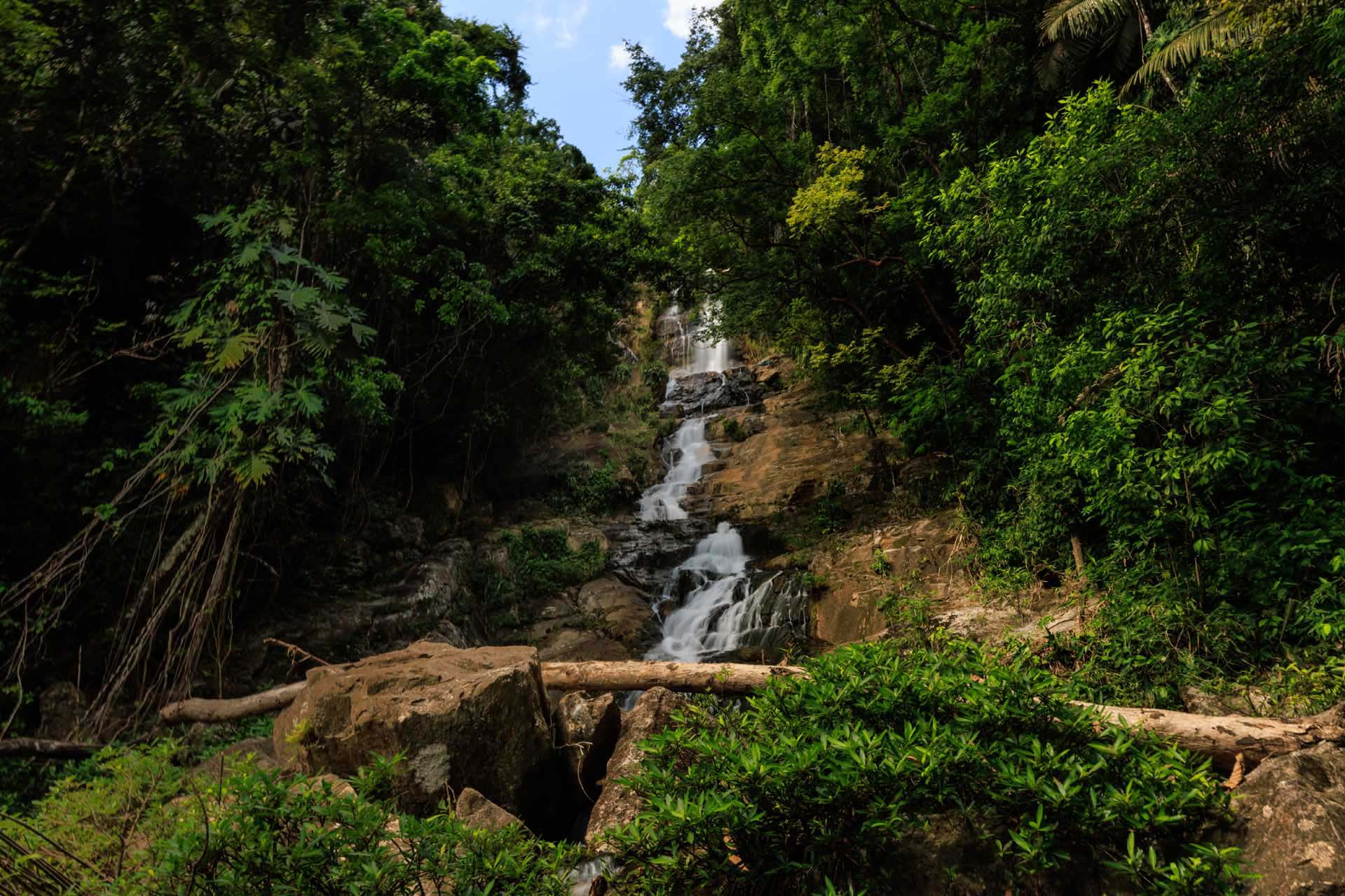 شلال طويل محاط بغابات استوائية مطيرة في منتزه ماي فلاور بوكاوينا الوطني في بليز