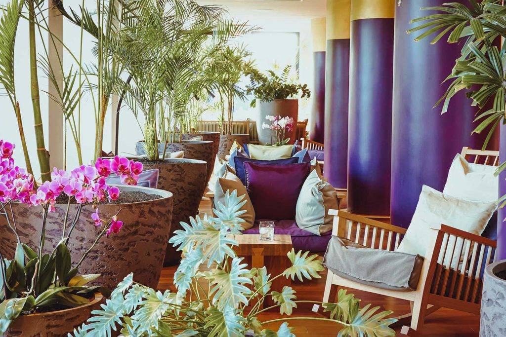 Sala de estar con exuberantes plantas de interior en el lobby de Bohemia Suites & Spa