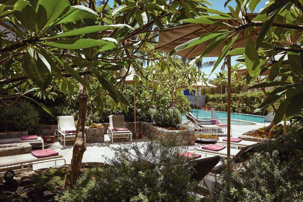 Patio de la piscina con camastros rodeados de exuberante vegetación en Bohemia Suites & Spa