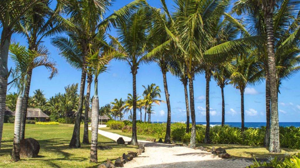Sendero bordeado de palmeras en Shanti Maurice Resort & Spa
