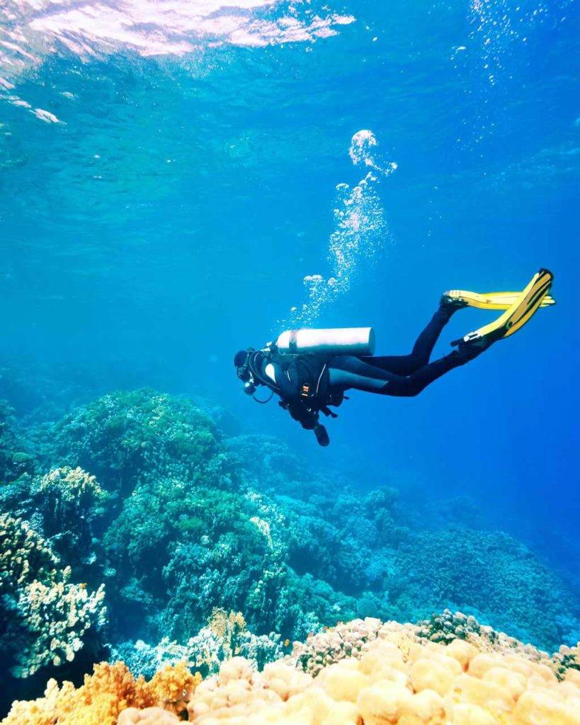 Person scuba diving in a reef off of Mauritius | Shanti Maurice Resort & Spa