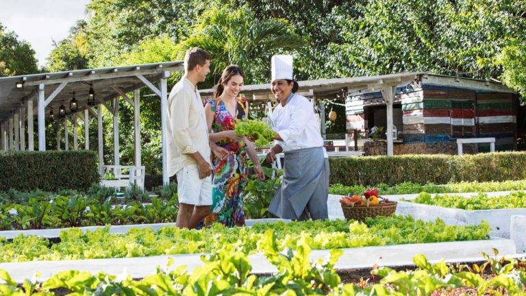 طاه يعرض للزوجين حديقة الخضروات خارج مطعم La Kaze Mama في منتجع وسبا شانتي موريس