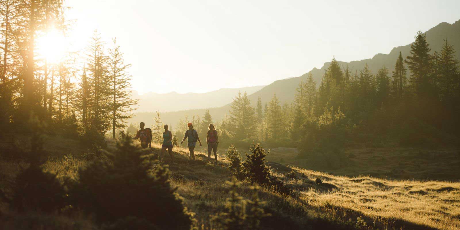 Grupo de excursionistas en un bosque siempre verde cerca de Belt, Monana