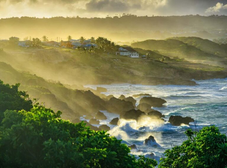 Barbados-Küstenlinie bedeckt im Nebel bei Sonnenaufgang