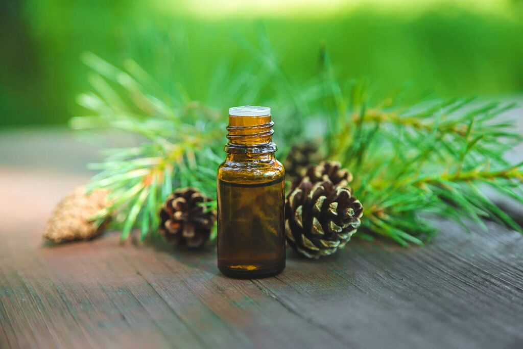 Bottle of essential oil surrounded by evergreen tree branches and spruce cones