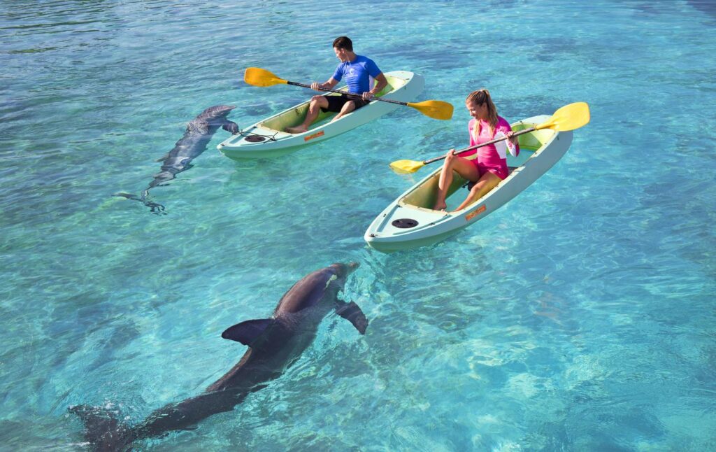 Pareja en kayak con delfines en Atlantis Paradise Island - Dolphin Cay